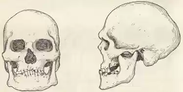 chapter-II-plate3a